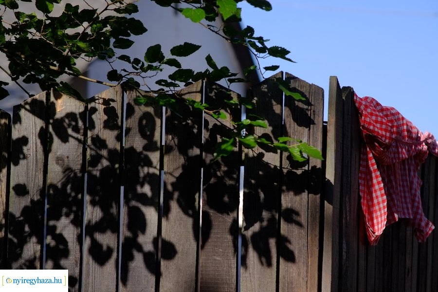 Pásztorok világa a Sóstói Múzeumfaluban 2023