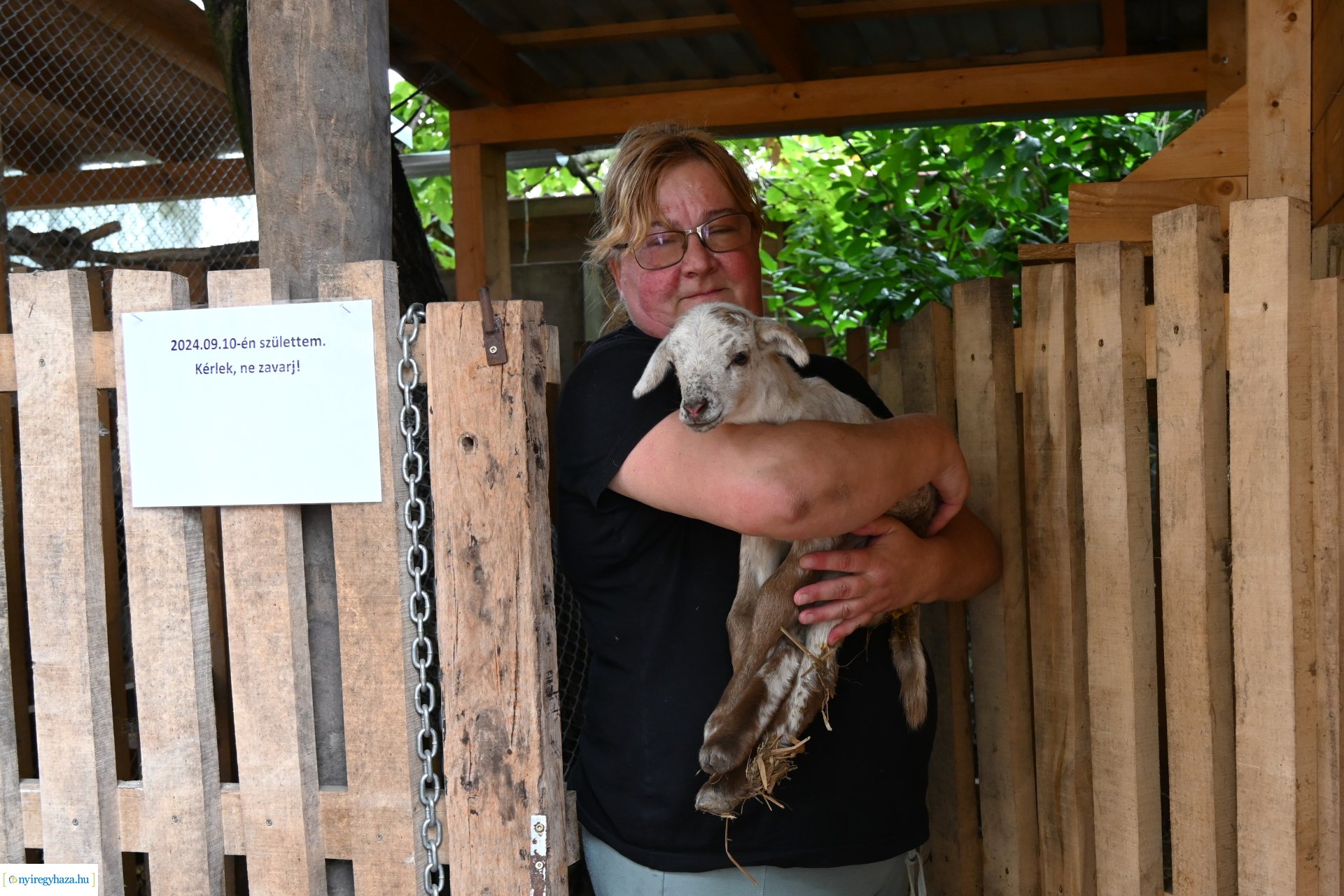 Pedagógus Roadshow a Szabó Lőrinc Tagintézményben