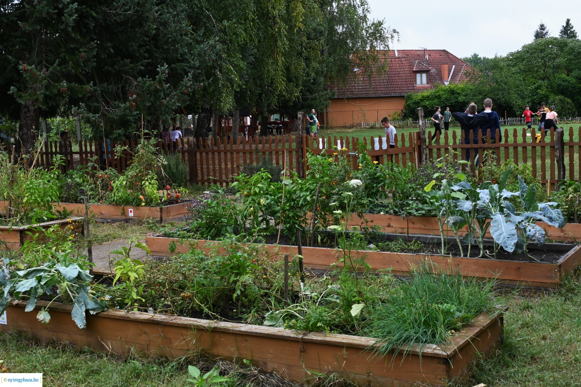 Pedagógus Roadshow a Szabó Lőrinc Tagintézményben