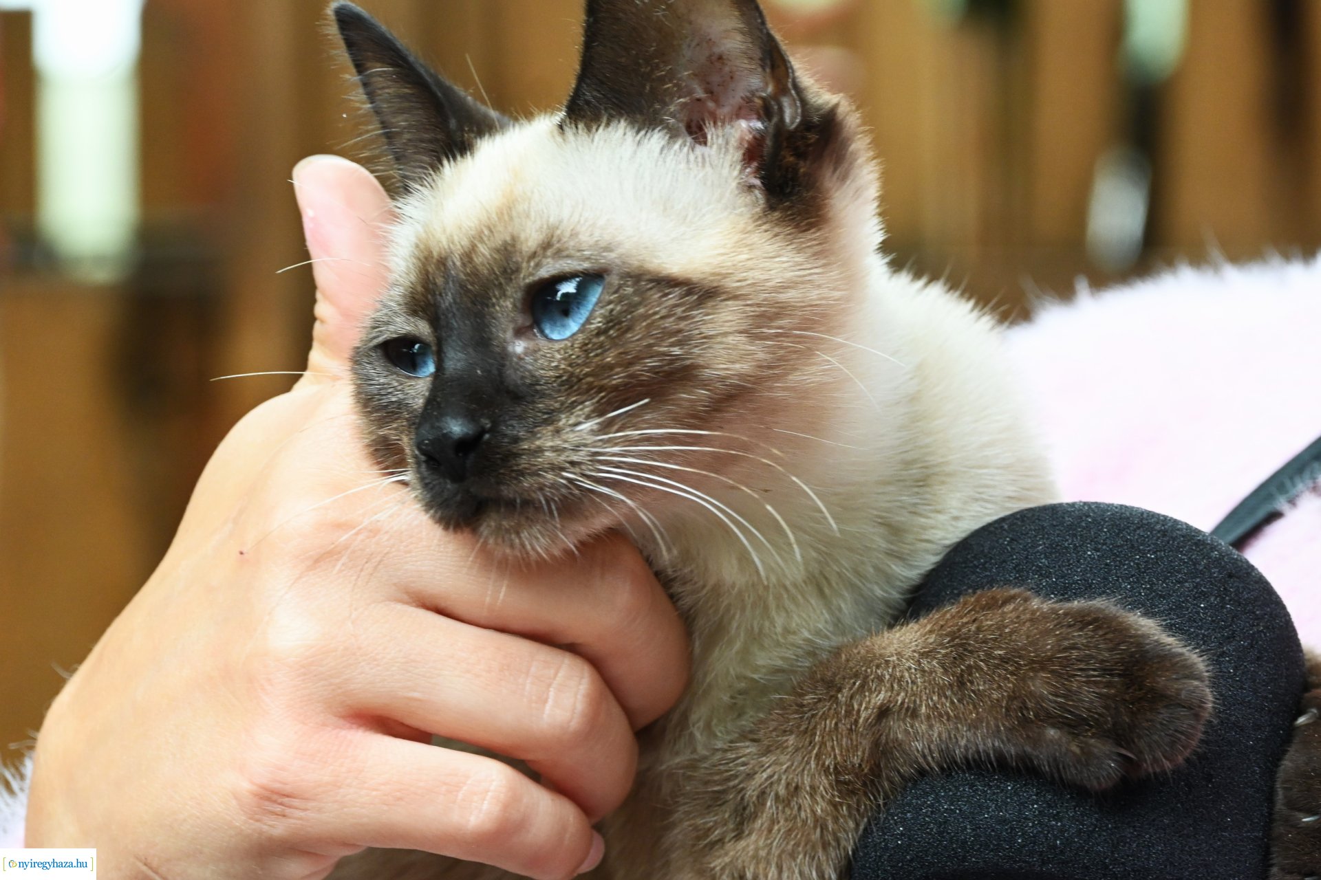 Pedagógus Roadshow a Szabó Lőrinc Tagintézményben