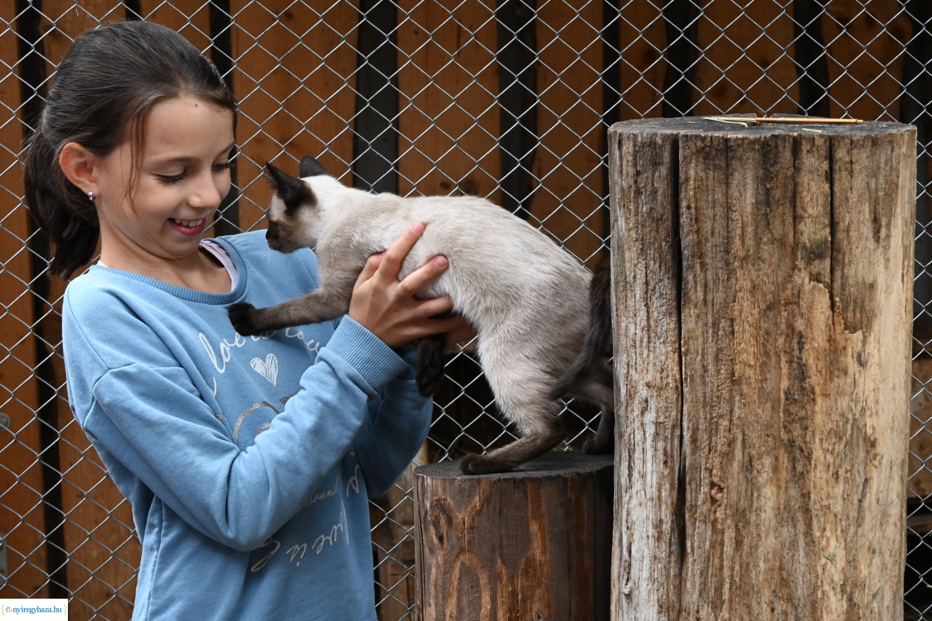 Pedagógus Roadshow a Szabó Lőrinc Tagintézményben