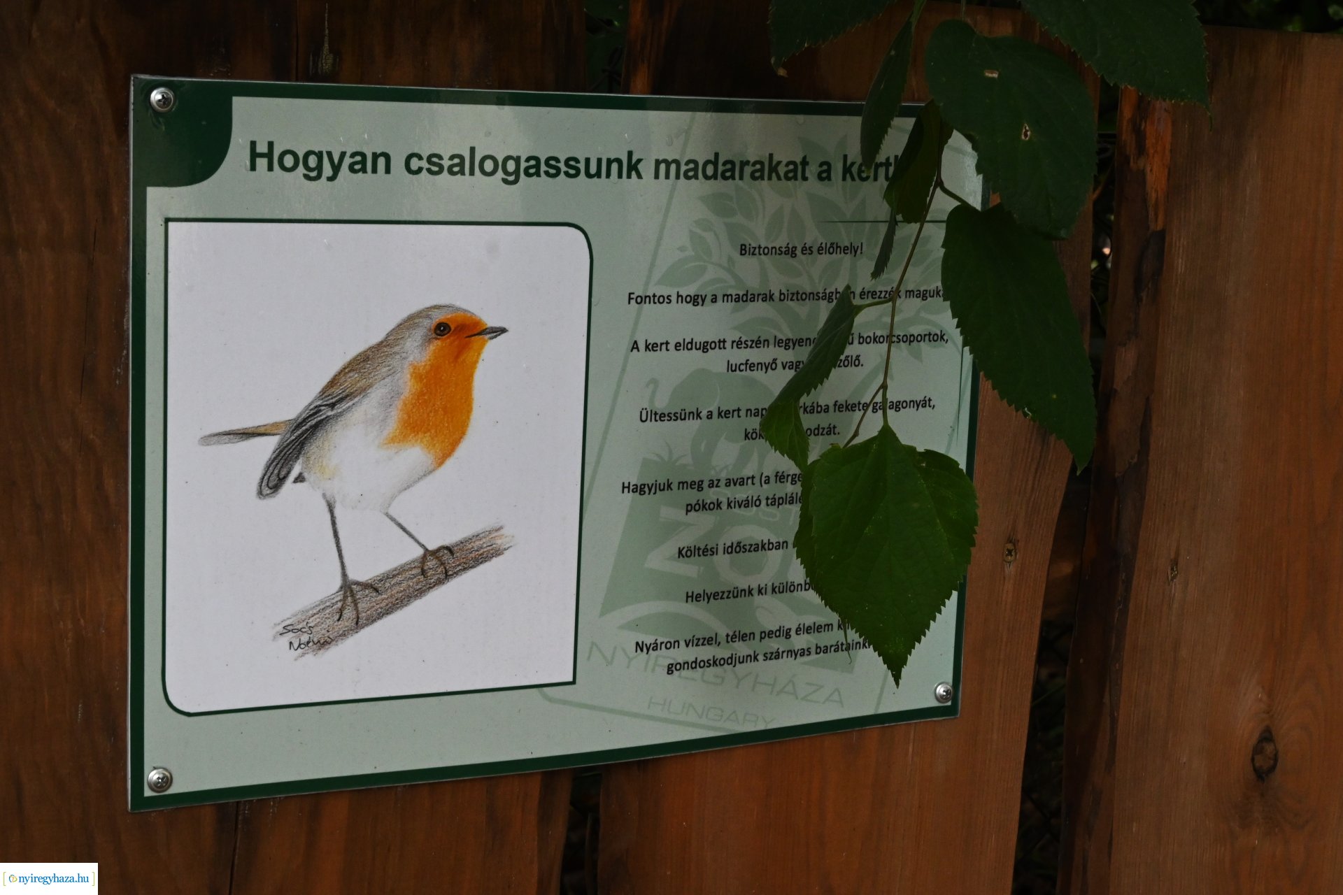 Pedagógus Roadshow a Szabó Lőrinc Tagintézményben