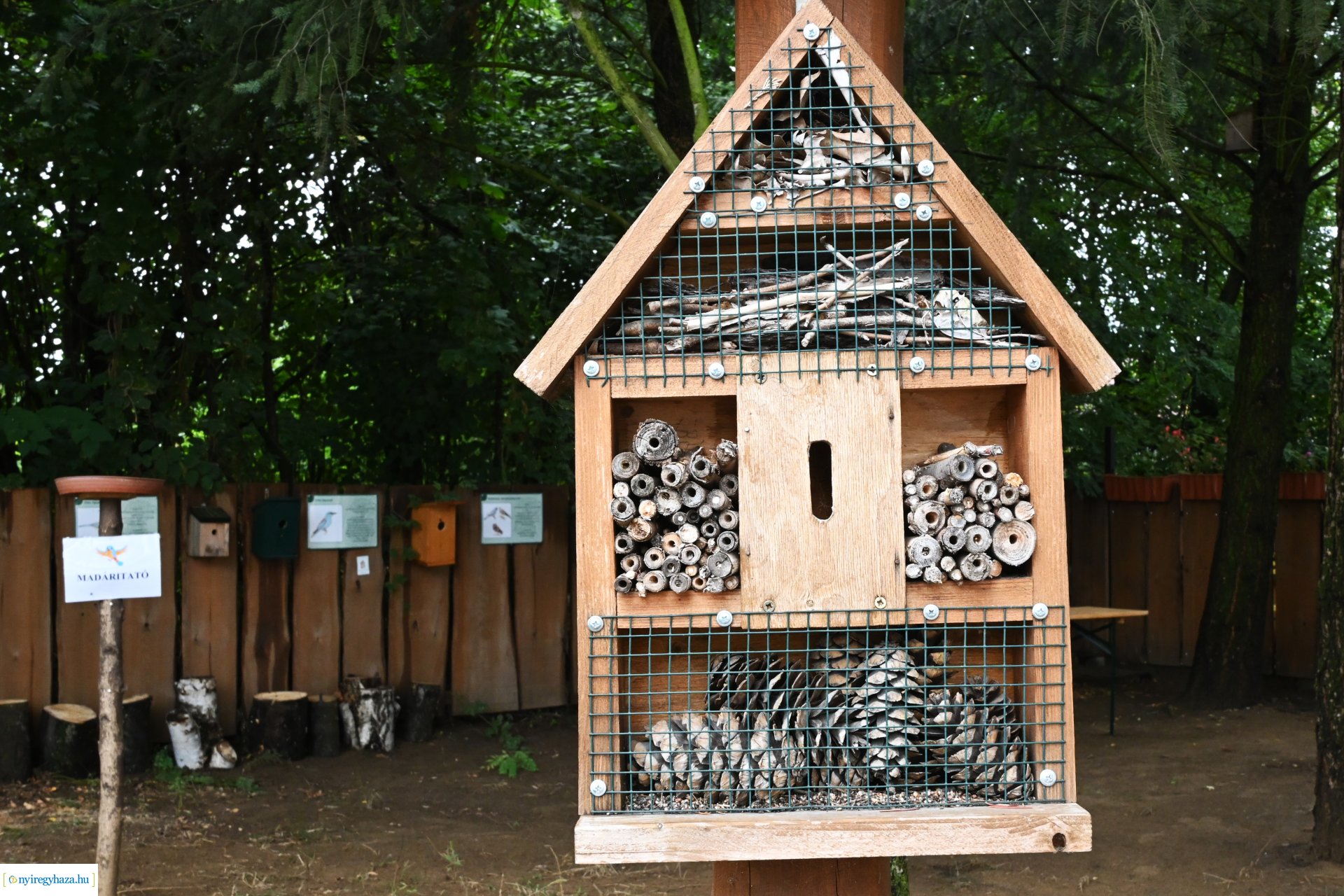 Pedagógus Roadshow a Szabó Lőrinc Tagintézményben