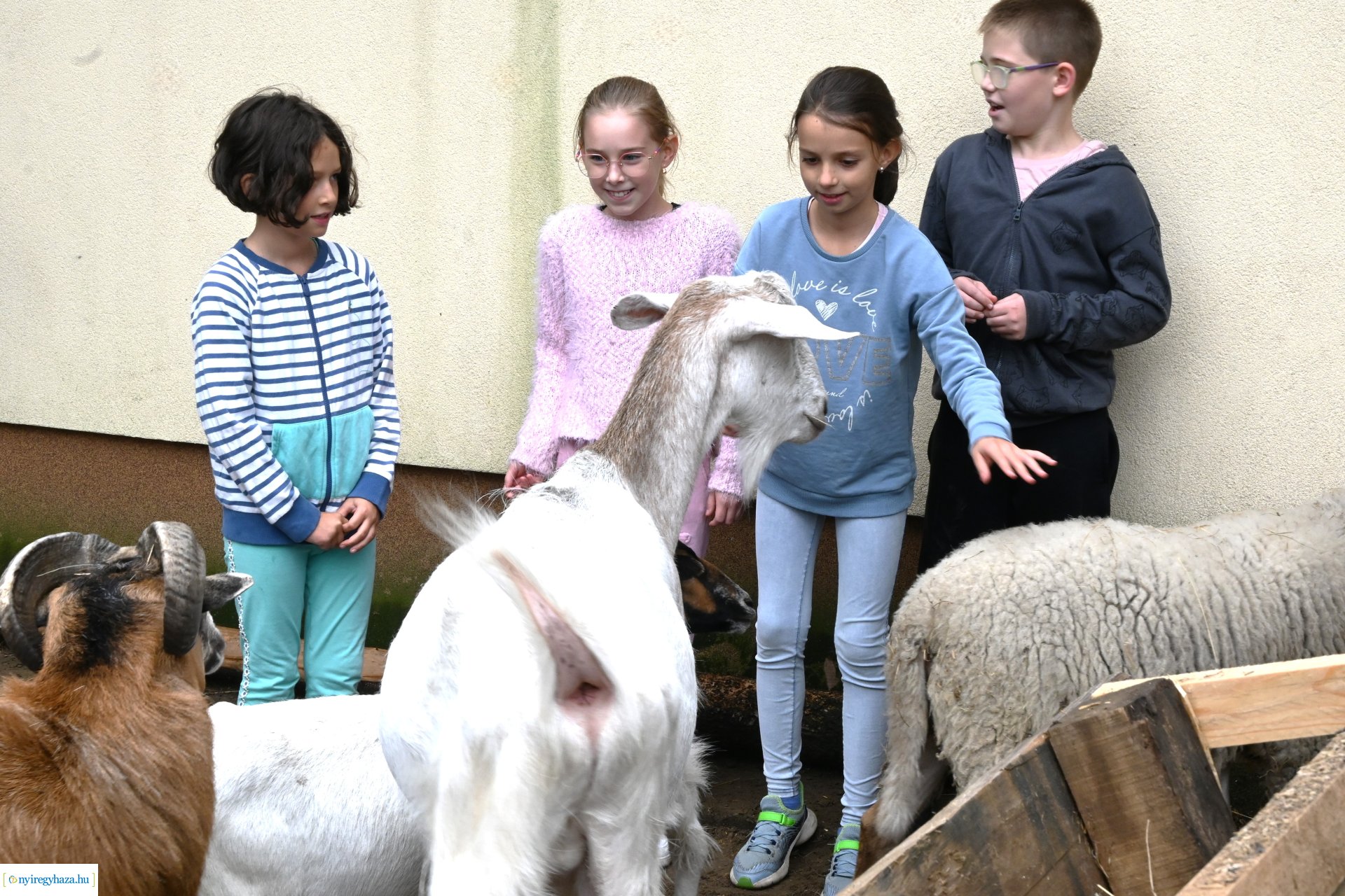 Pedagógus Roadshow a Szabó Lőrinc Tagintézményben