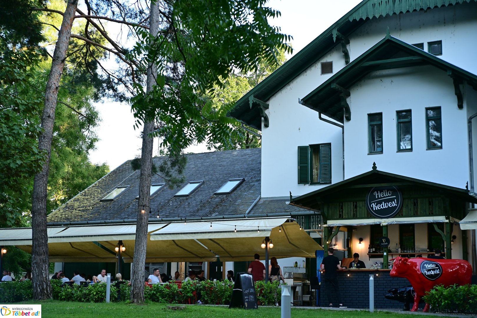 Pillanatképek egy nyári estén a szökőkút mellett -2025