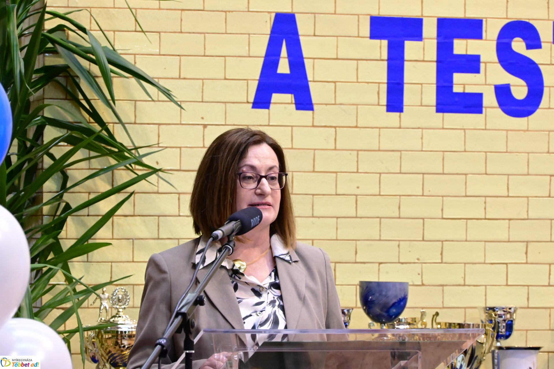 Pódiumbeszélgetés a  Nyíregyházi Vasvári Pál Gimnázium 50 éves testnevelési tagozatának ünnepségén