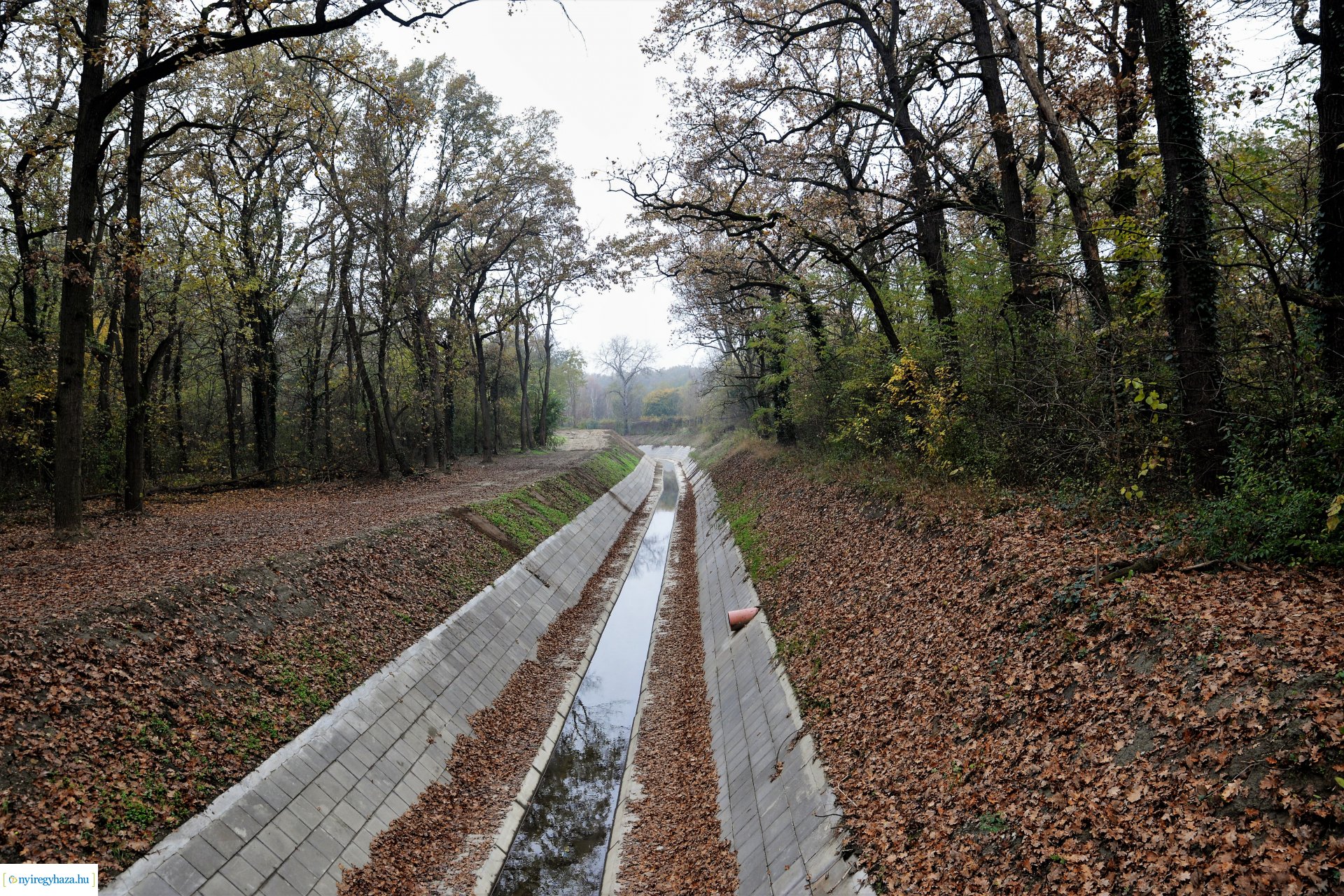 Polgármesteri bejárás az Igrice patak mentén