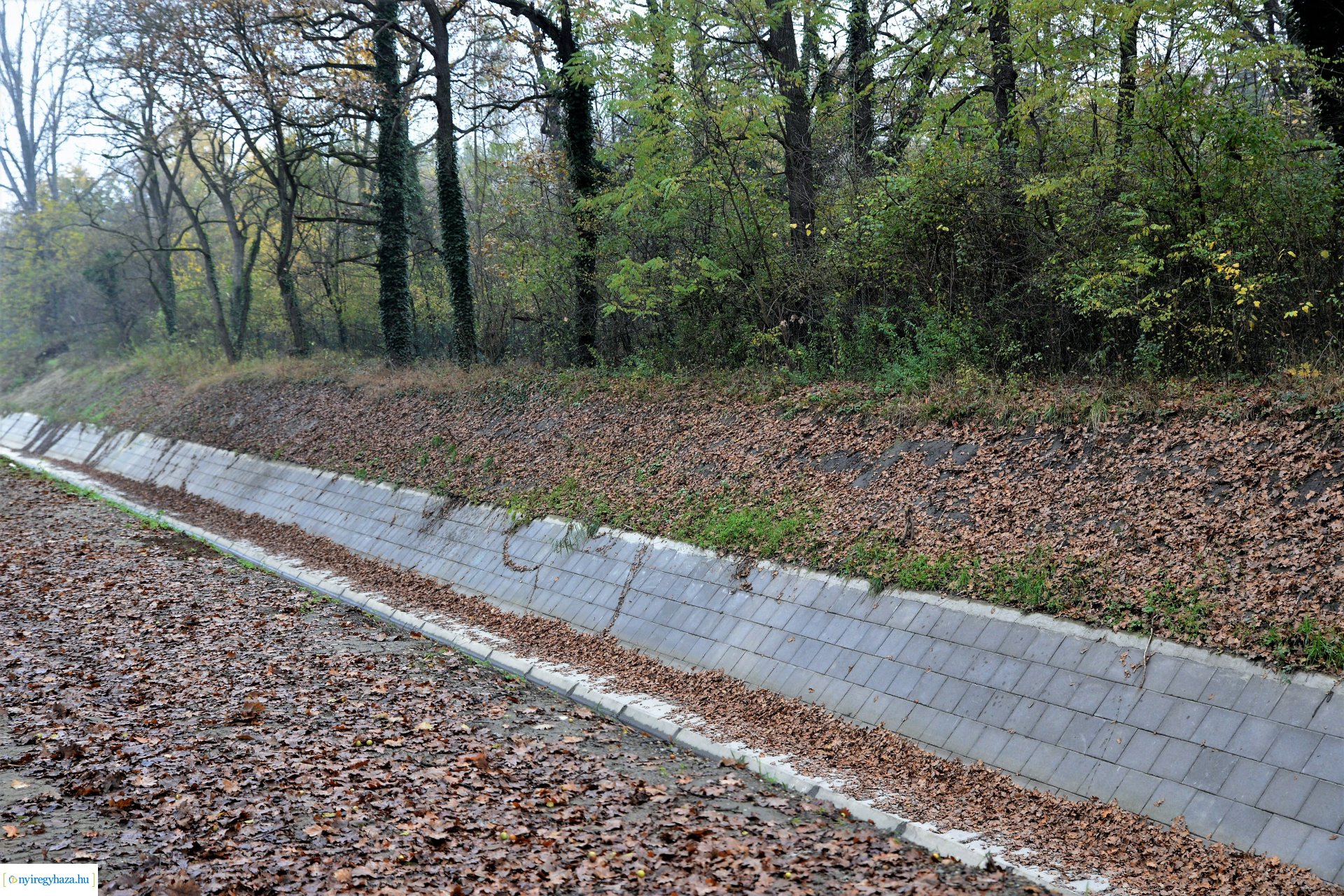 Polgármesteri bejárás az Igrice patak mentén