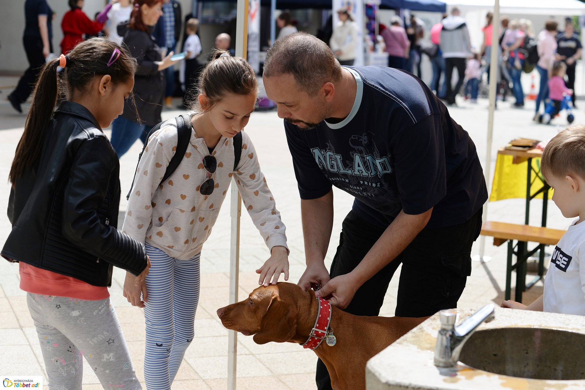 Polgárőrnap Örökösföldön