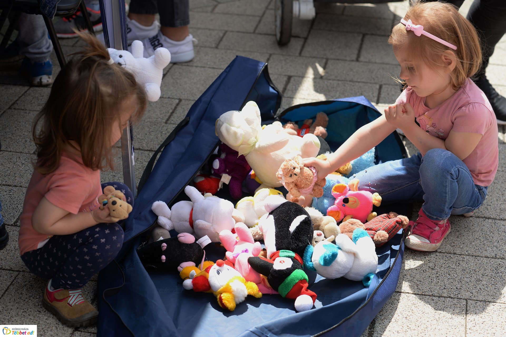 Polgárőrnap Örökösföldön