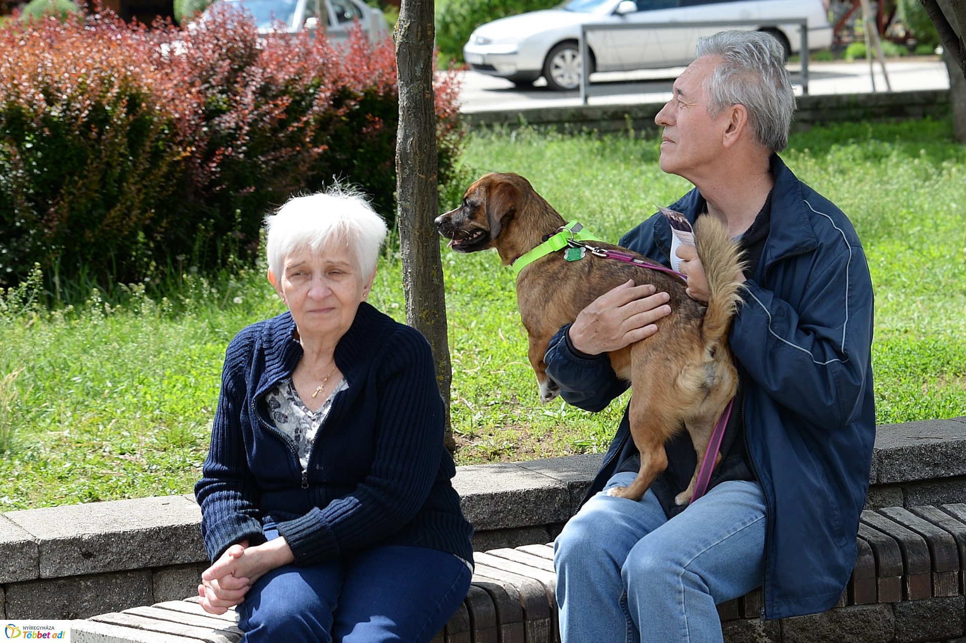 Polgárőrnap Örökösföldön