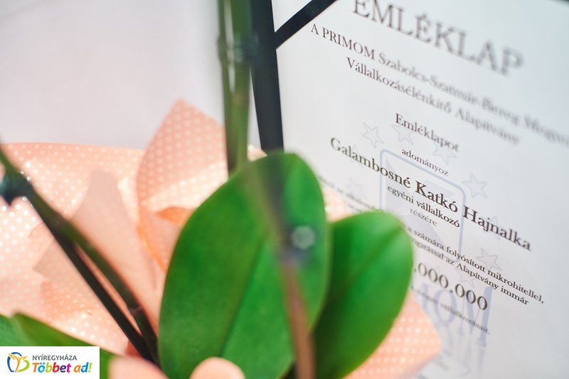 PRIMOM Mikrohitel program