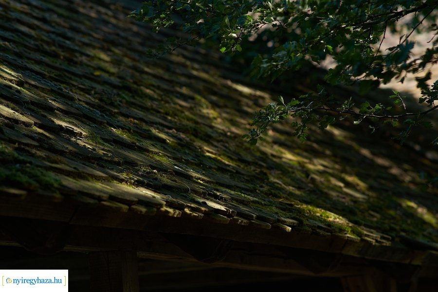 Projektzáró a múzeumfaluban 20210826