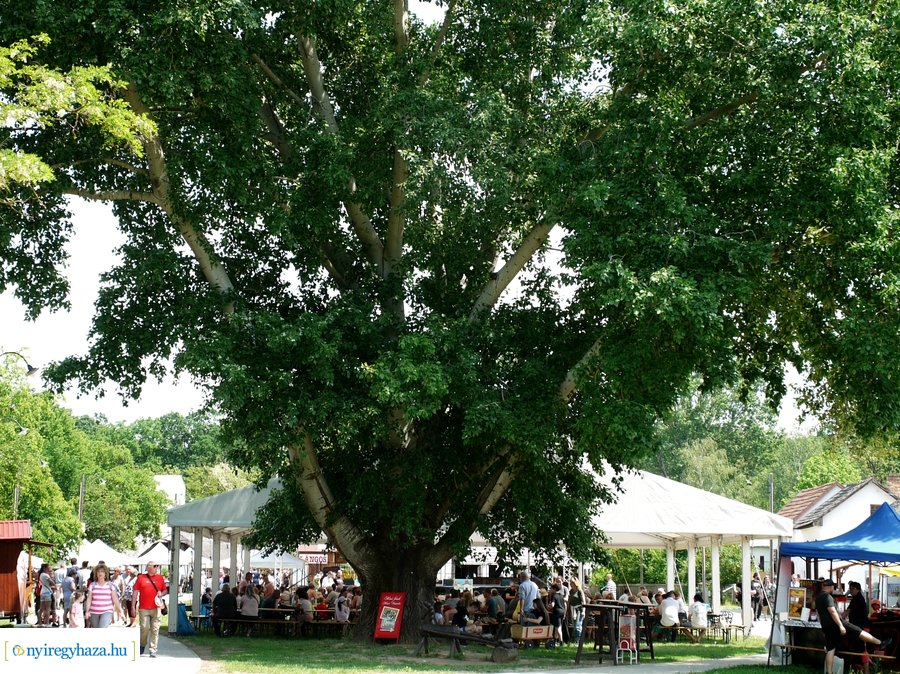 Pünkösd a múzeumfaluban 20230529