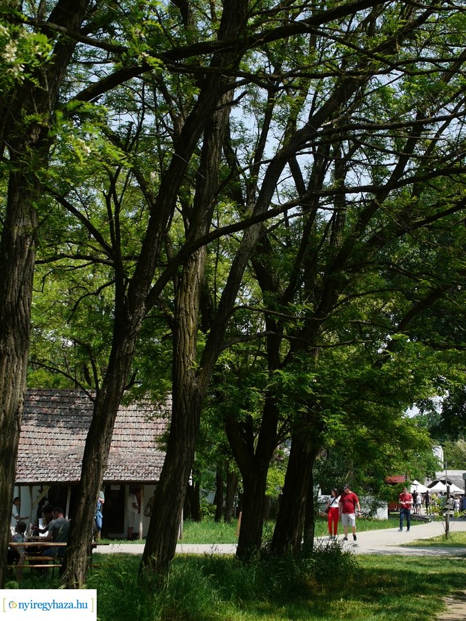 Pünkösd a múzeumfaluban 20230529