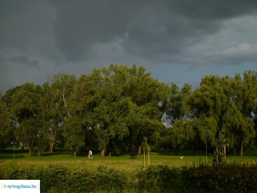 Pünkösdi eső - 20230529