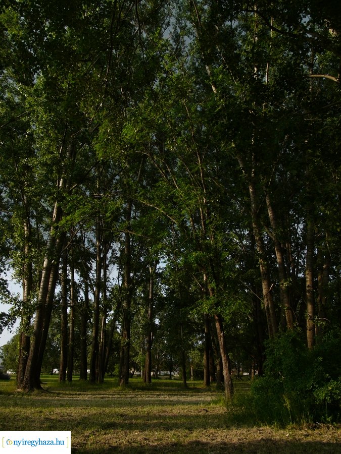 Pünkösdi eső - 20230529