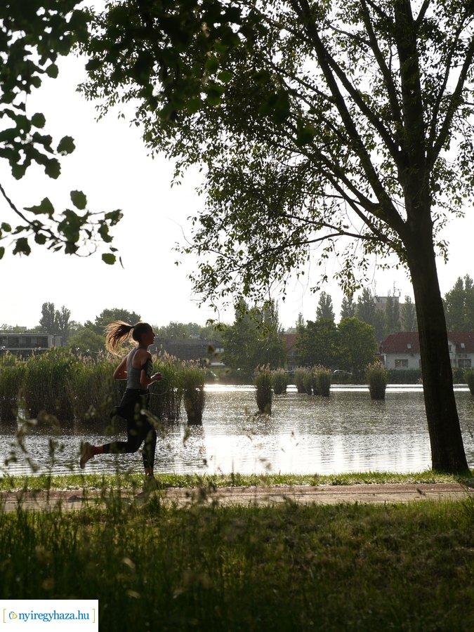 Pünkösdi eső - 20230529