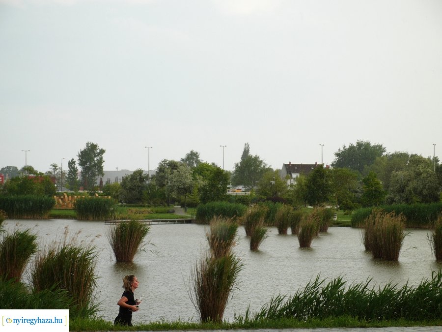 Pünkösdi eső - 20230529