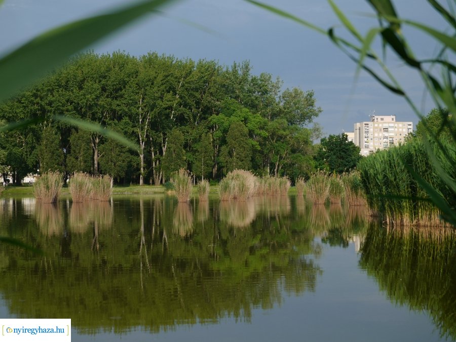 Pünkösdi eső - 20230529