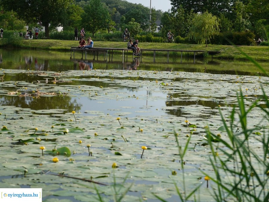 Pünkösdi eső - 20230529