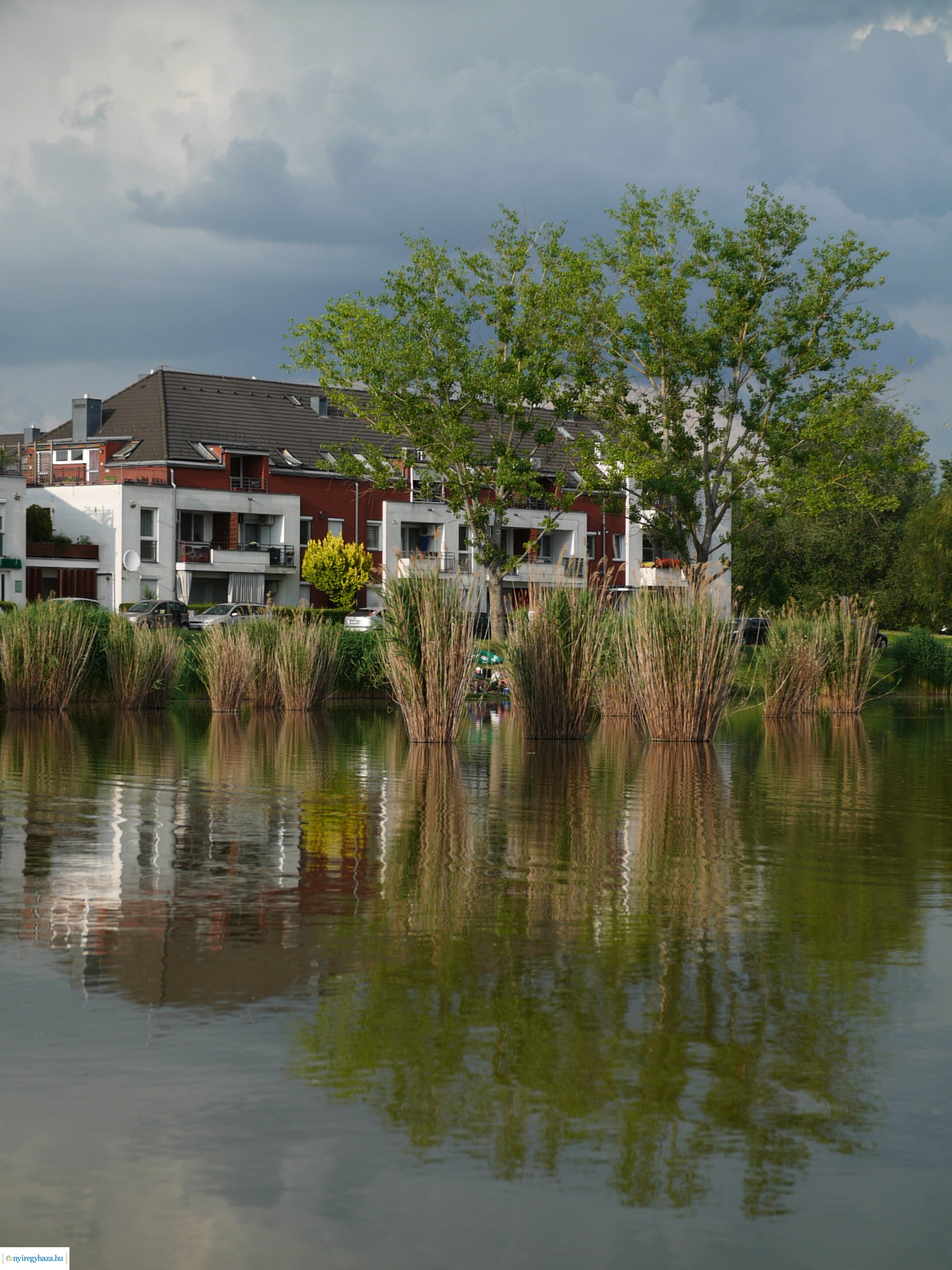 Pünkösdi eső - 20230529