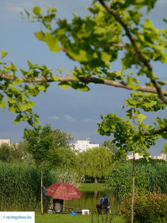 Pünkösdi eső - 20230529