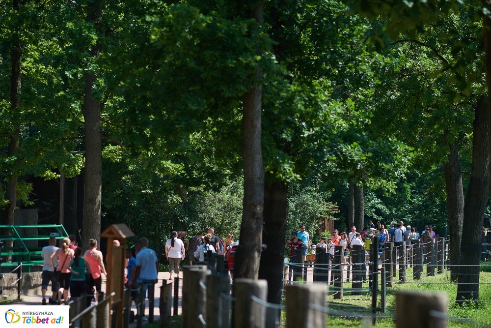 Pünkösdkor az Állatparkban