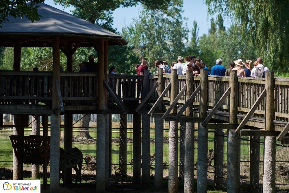 Pünkösdkor az Állatparkban