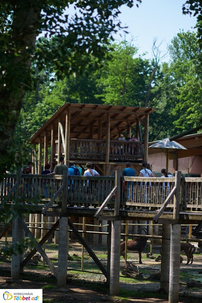 Pünkösdkor az Állatparkban