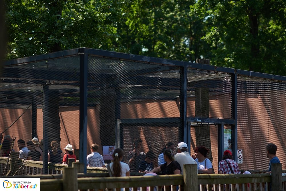 Pünkösdkor az Állatparkban