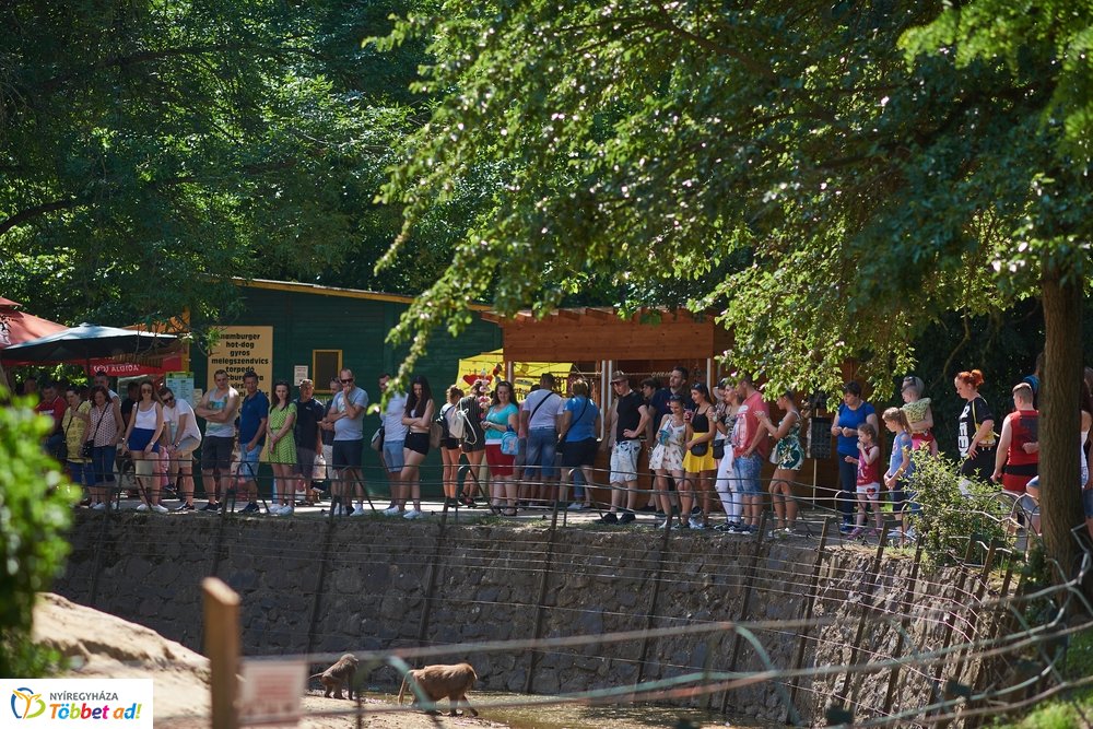 Pünkösdkor az Állatparkban