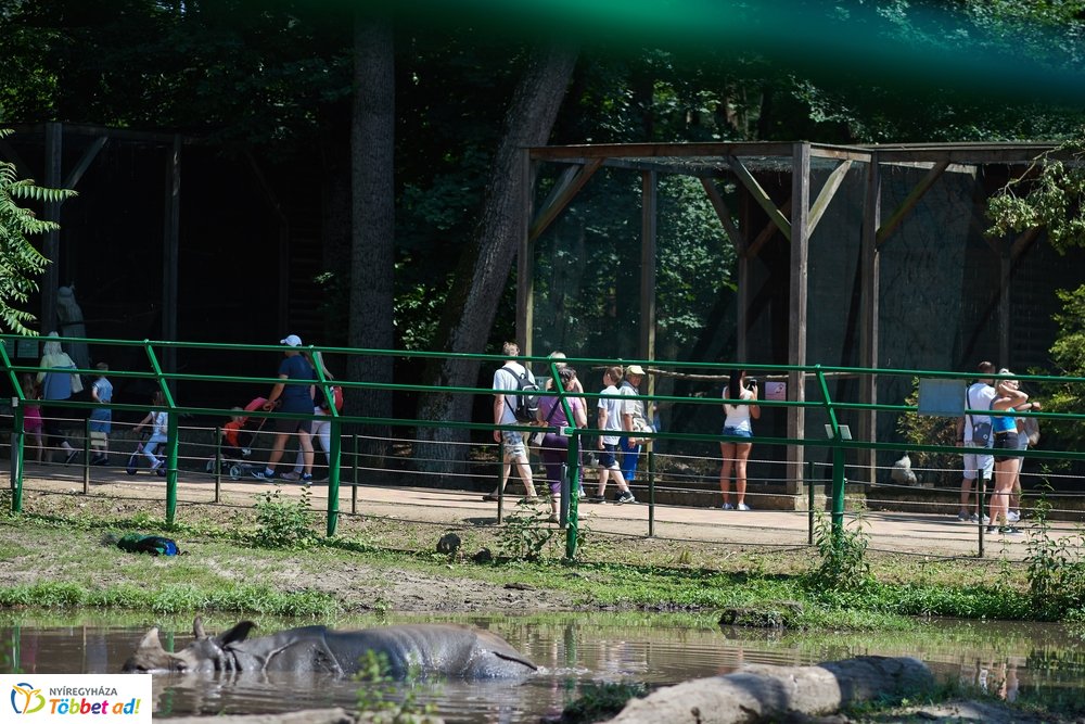 Pünkösdkor az Állatparkban