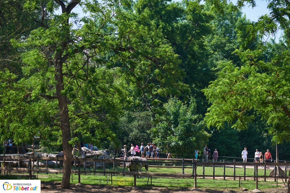 Pünkösdkor az Állatparkban