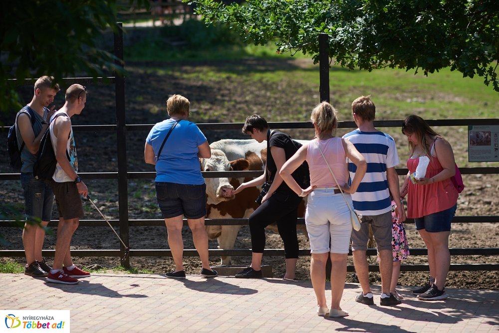 Pünkösdkor az Állatparkban