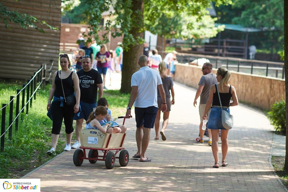 Pünkösdkor az Állatparkban
