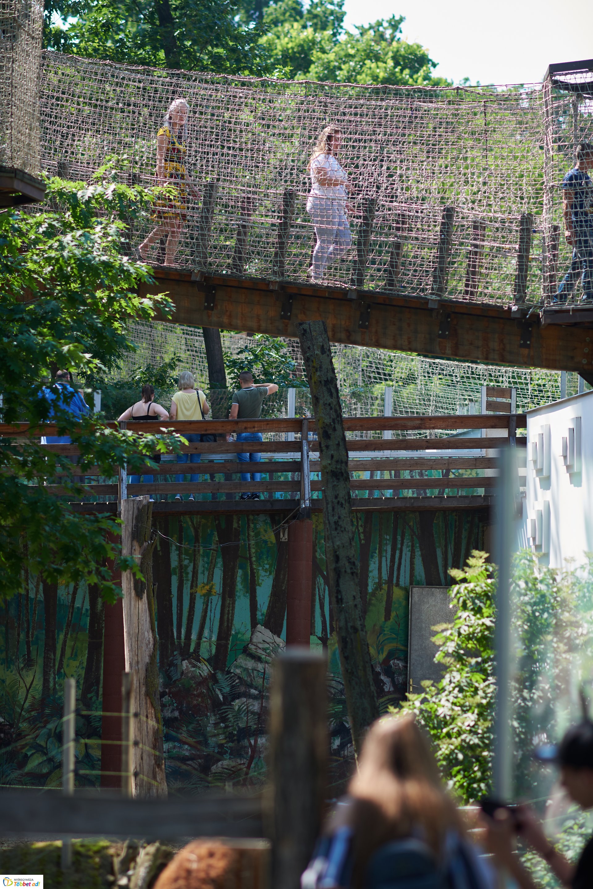 Pünkösdkor az Állatparkban