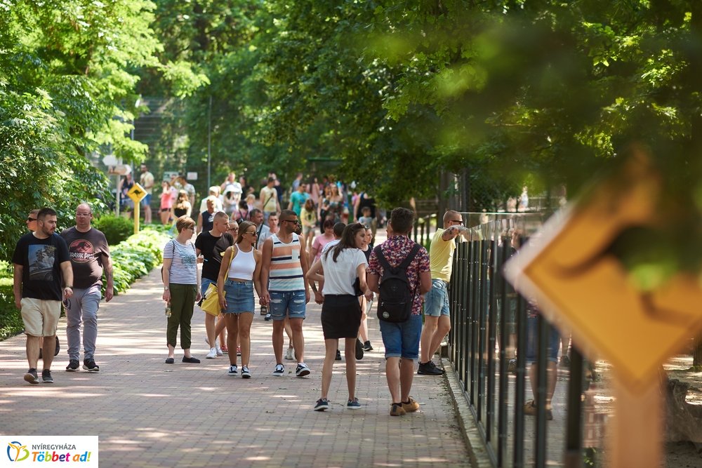 Pünkösdkor az Állatparkban