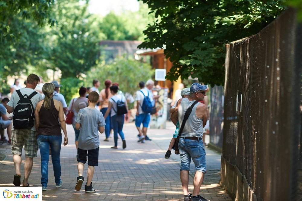 Pünkösdkor az Állatparkban
