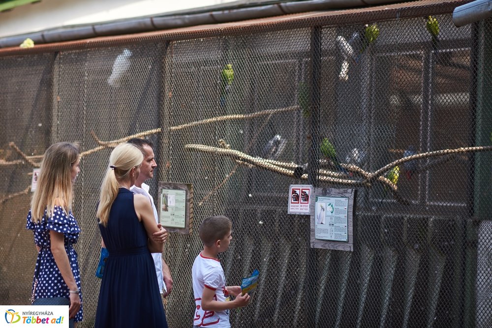 Pünkösdkor az Állatparkban