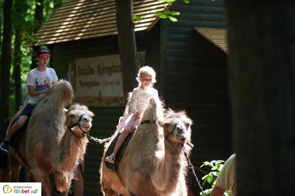 Pünkösdkor az Állatparkban