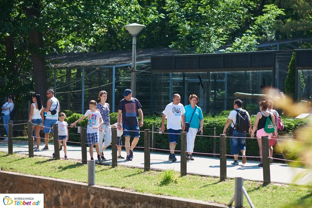 Pünkösdkor az Állatparkban