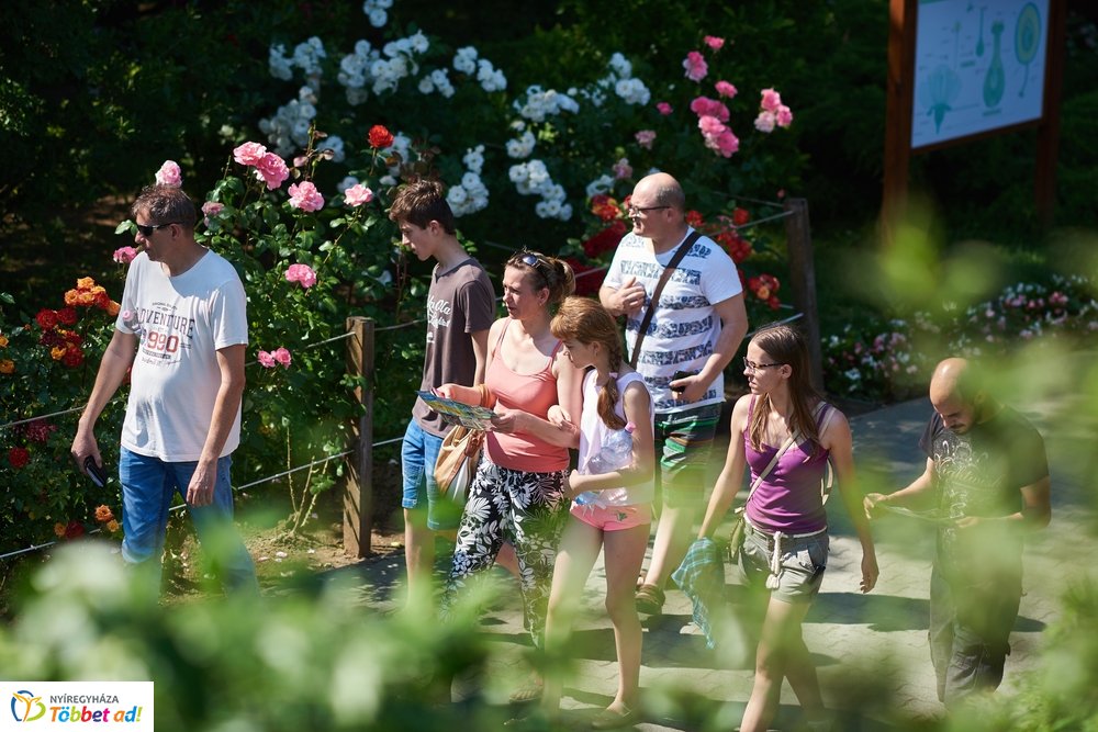 Pünkösdkor az Állatparkban