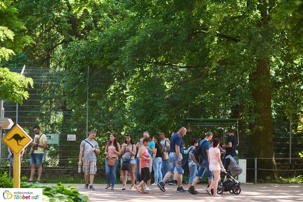 Pünkösdkor az Állatparkban