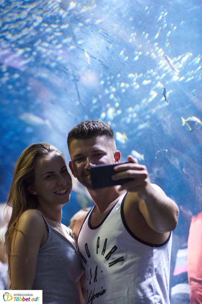 Pünkösdkor az Állatparkban