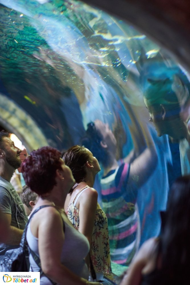 Pünkösdkor az Állatparkban