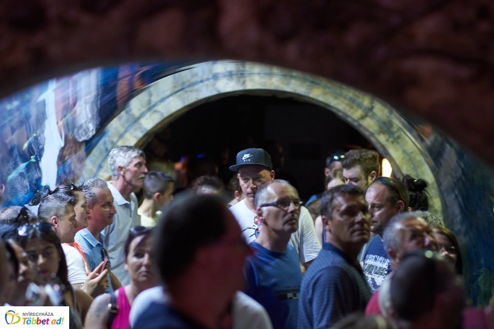 Pünkösdkor az Állatparkban