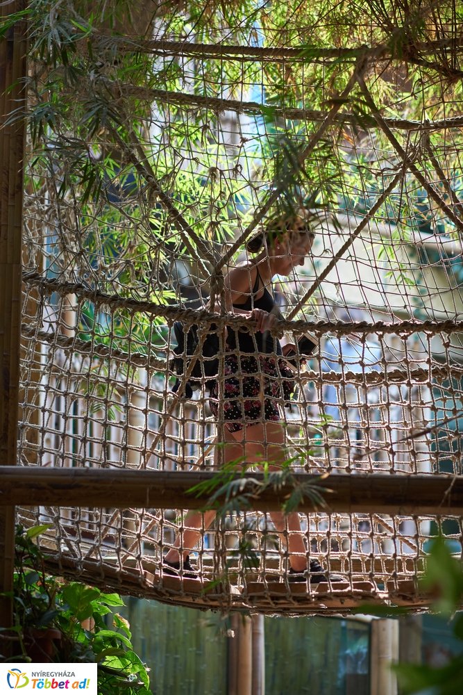 Pünkösdkor az Állatparkban