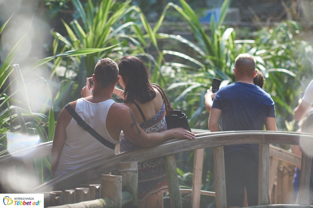 Pünkösdkor az Állatparkban