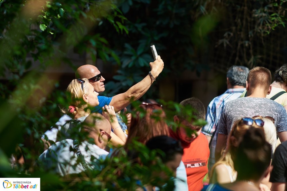 Pünkösdkor az Állatparkban